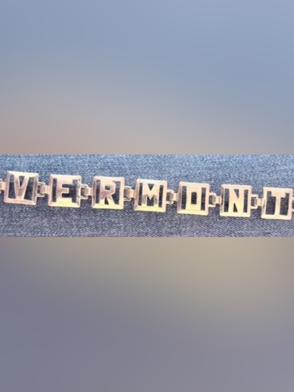 Vintage VERMONT link bracelet in silvertone metal.